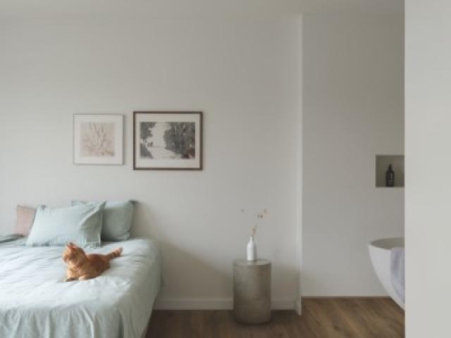 Stratifié Quickstep : CLASSIC CLM5789 - Chêne marron ardent